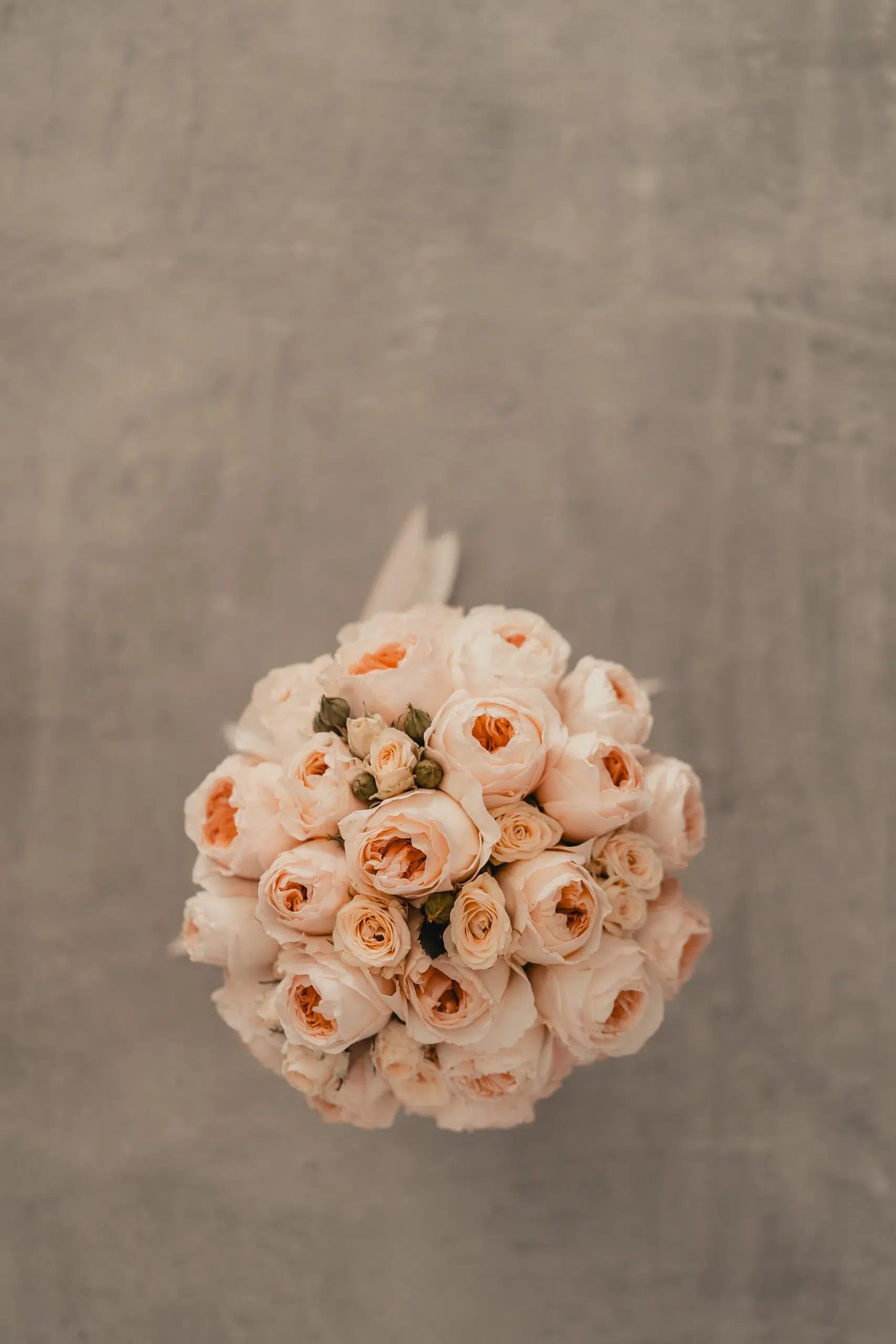 Mariage d’Elsa et Ben à la Ferme Weyerbach - Dietwiller, Haut-Rhin, Alsace