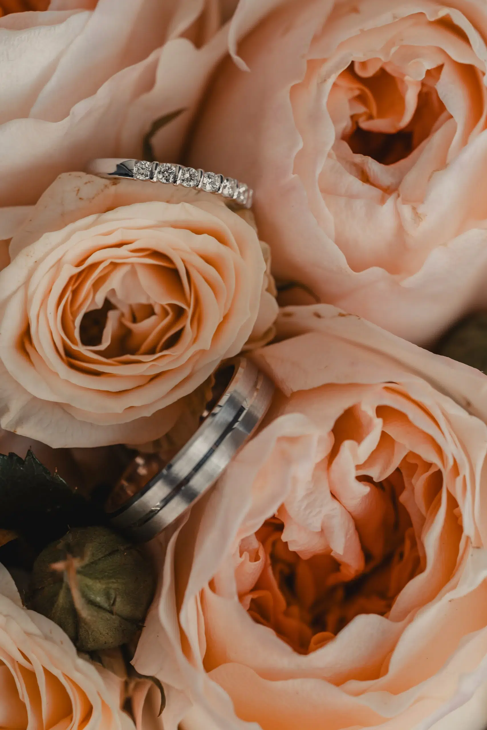 Mariage d’Elsa et Ben à la Ferme Weyerbach - Dietwiller, Haut-Rhin, Alsace